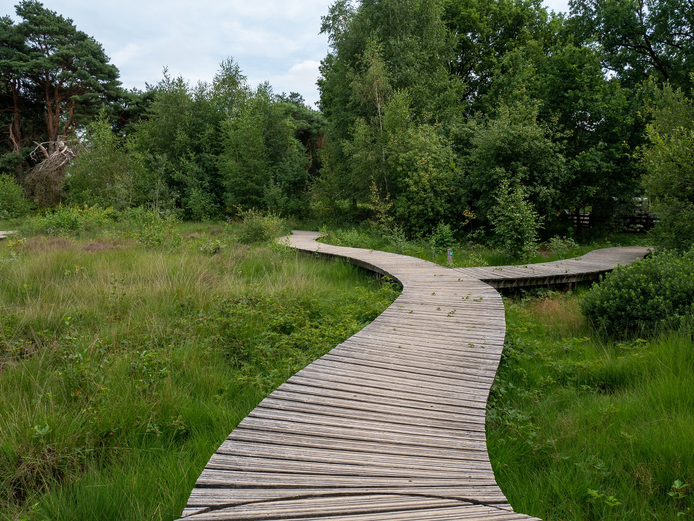 Stabrechtse_Heide_22-7-2022_4