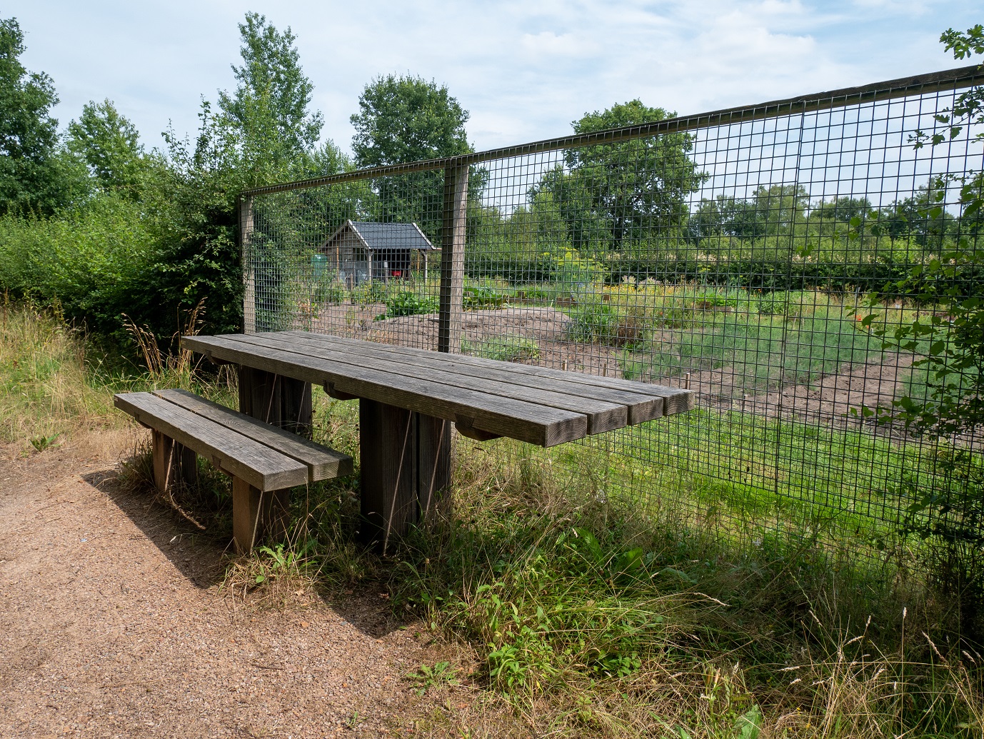 Stabrechtse_Heide_22-7-2022_5