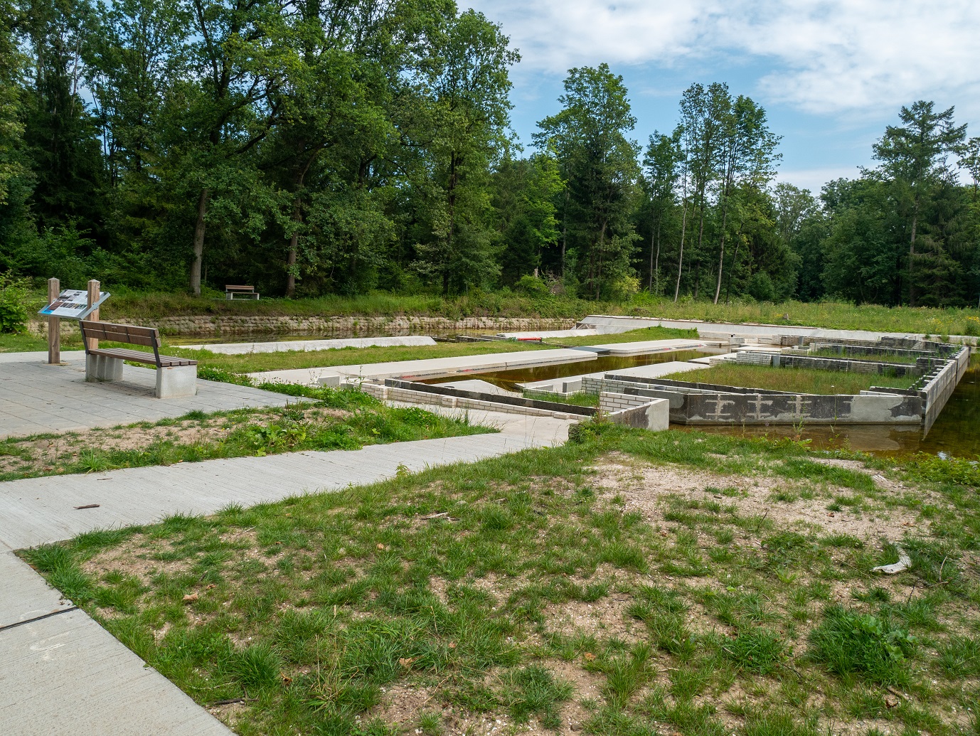 Waterloopbos_29-7-2022_07