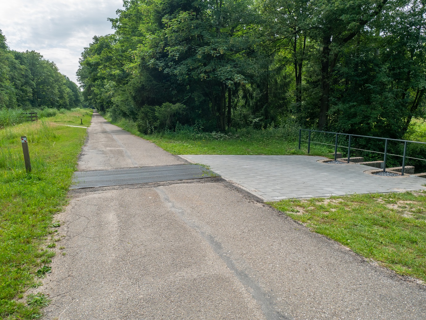 Waterloopbos_29-7-2022_11