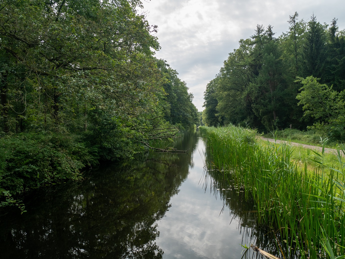 Waterloopbos_29-7-2022_12