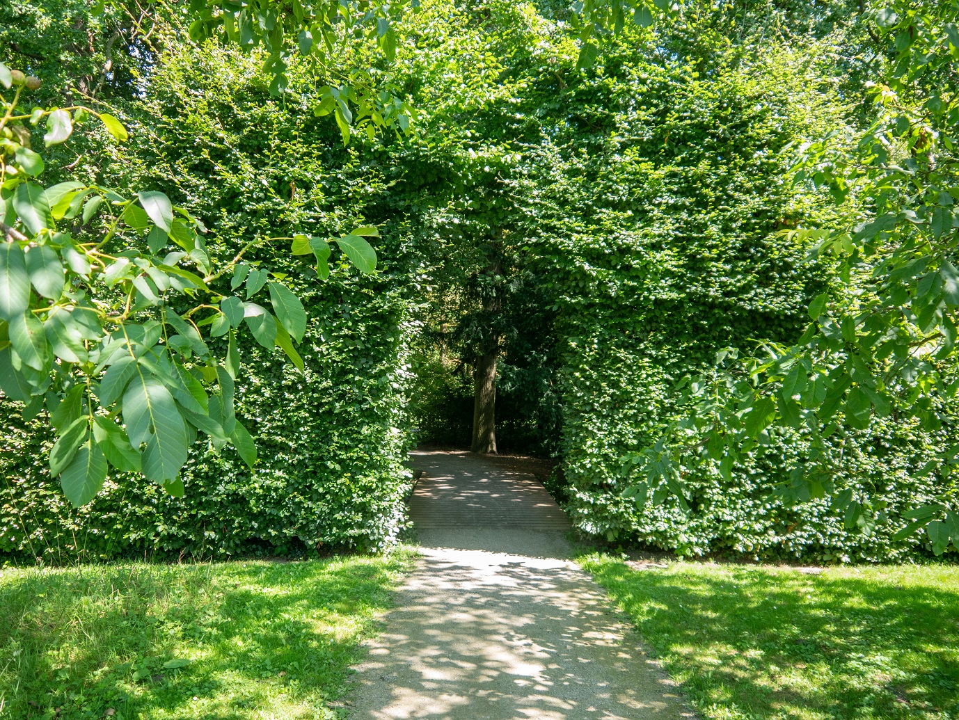 Landgoed_Oostbroek_Parkpad_02-08-2022_-02