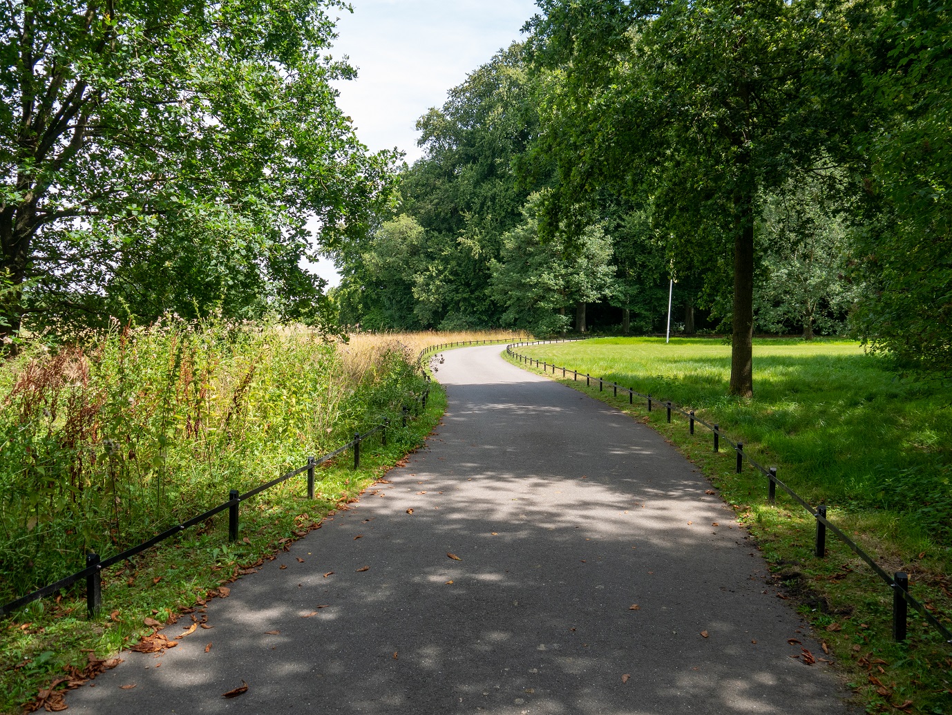 Landgoed_Oostbroek_Parkpad_02-08-2022_-03