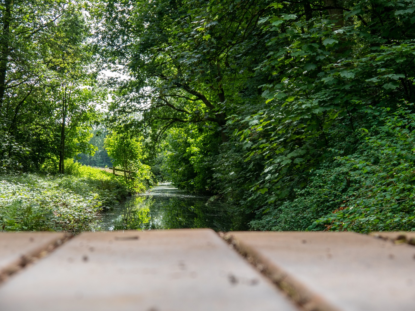 Landgoed_Oostbroek_Parkpad_02-08-2022_-05
