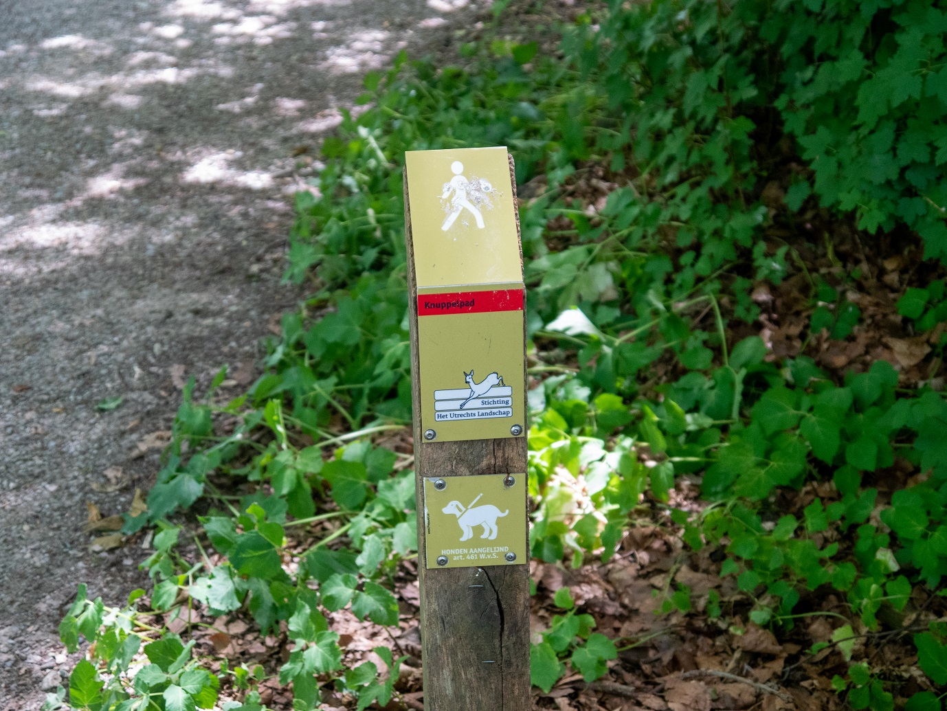 Landgoed_Oostbroek_Parkpad_02-08-2022_-06