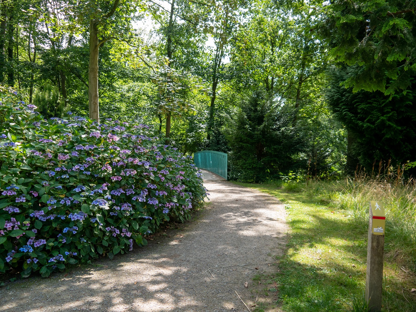 Landgoed_Oostbroek_Parkpad_02-08-2022_-09