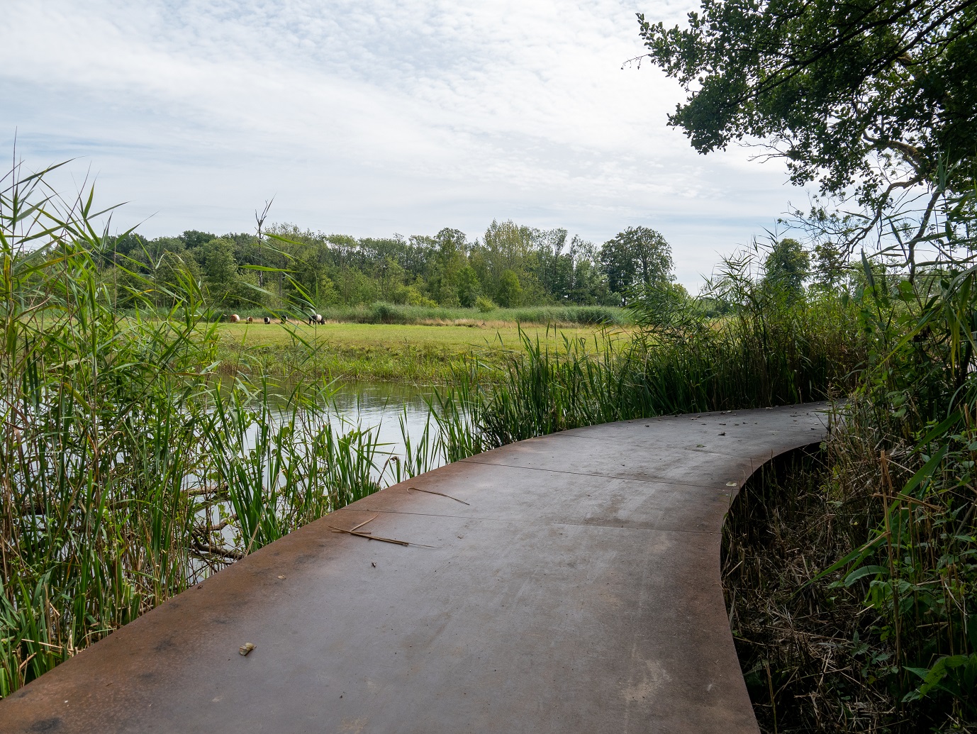 Landgoed_Oostbroek_Parkpad_02-08-2022_-11