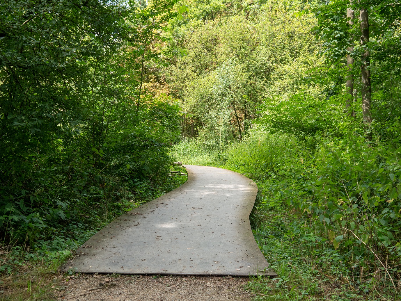 Landgoed_Oostbroek_Parkpad_02-08-2022_-12