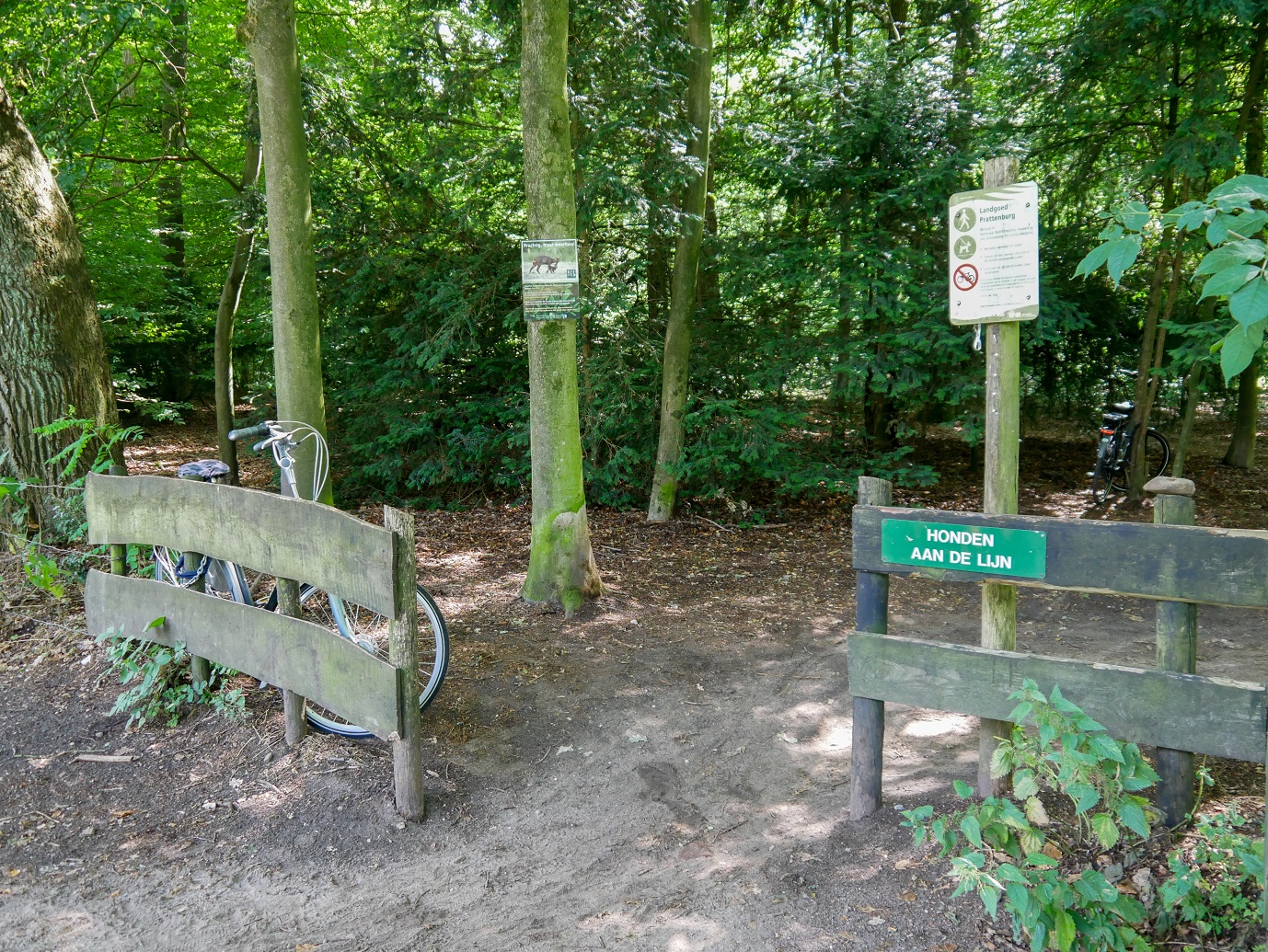 Rhenen_Landgoed_Prattenburg_01-08-2022_-02