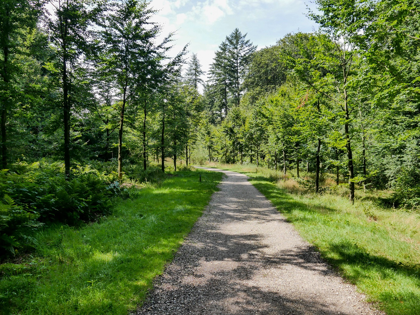 Rhenen_Landgoed_Prattenburg_01-08-2022_-05