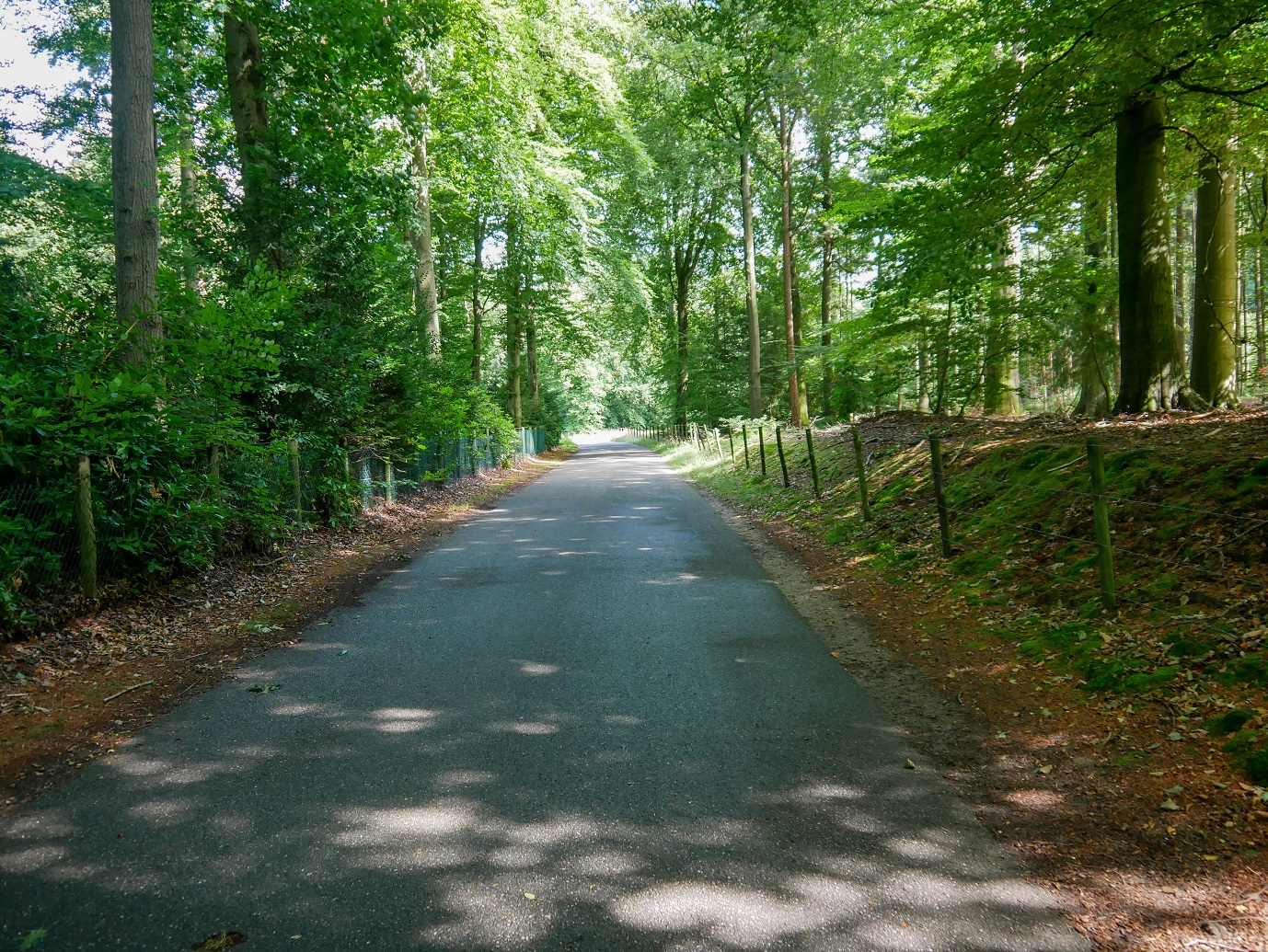 Rhenen_Landgoed_Prattenburg_01-08-2022_-12