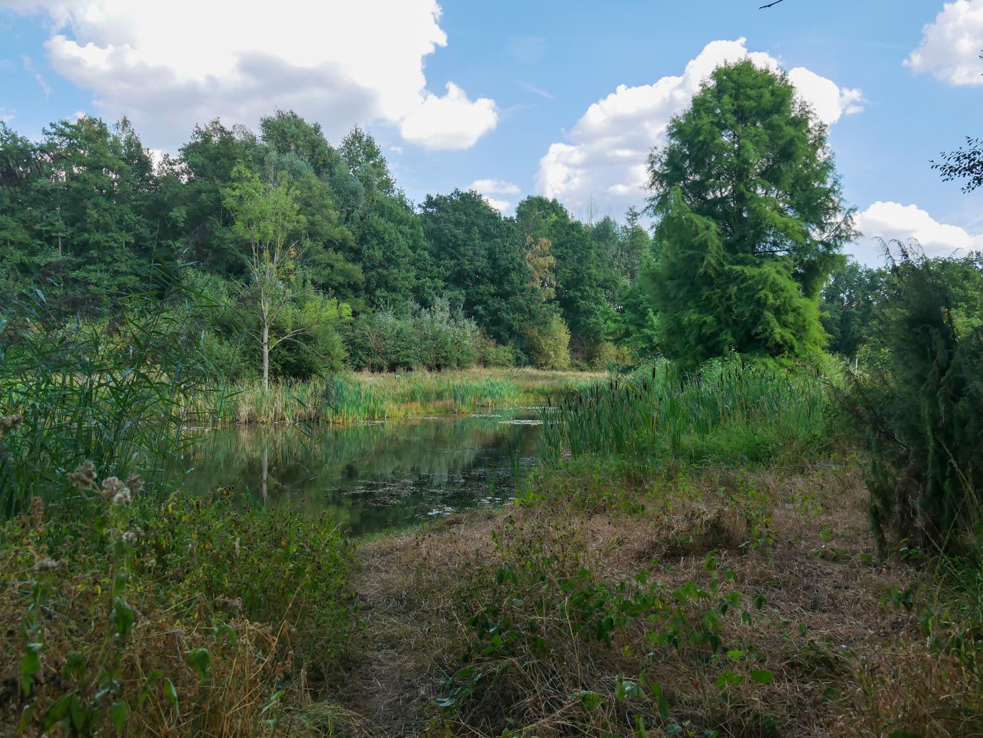 De_Lutte_Arboretum_Poort_Bulten_05-09-2022-10