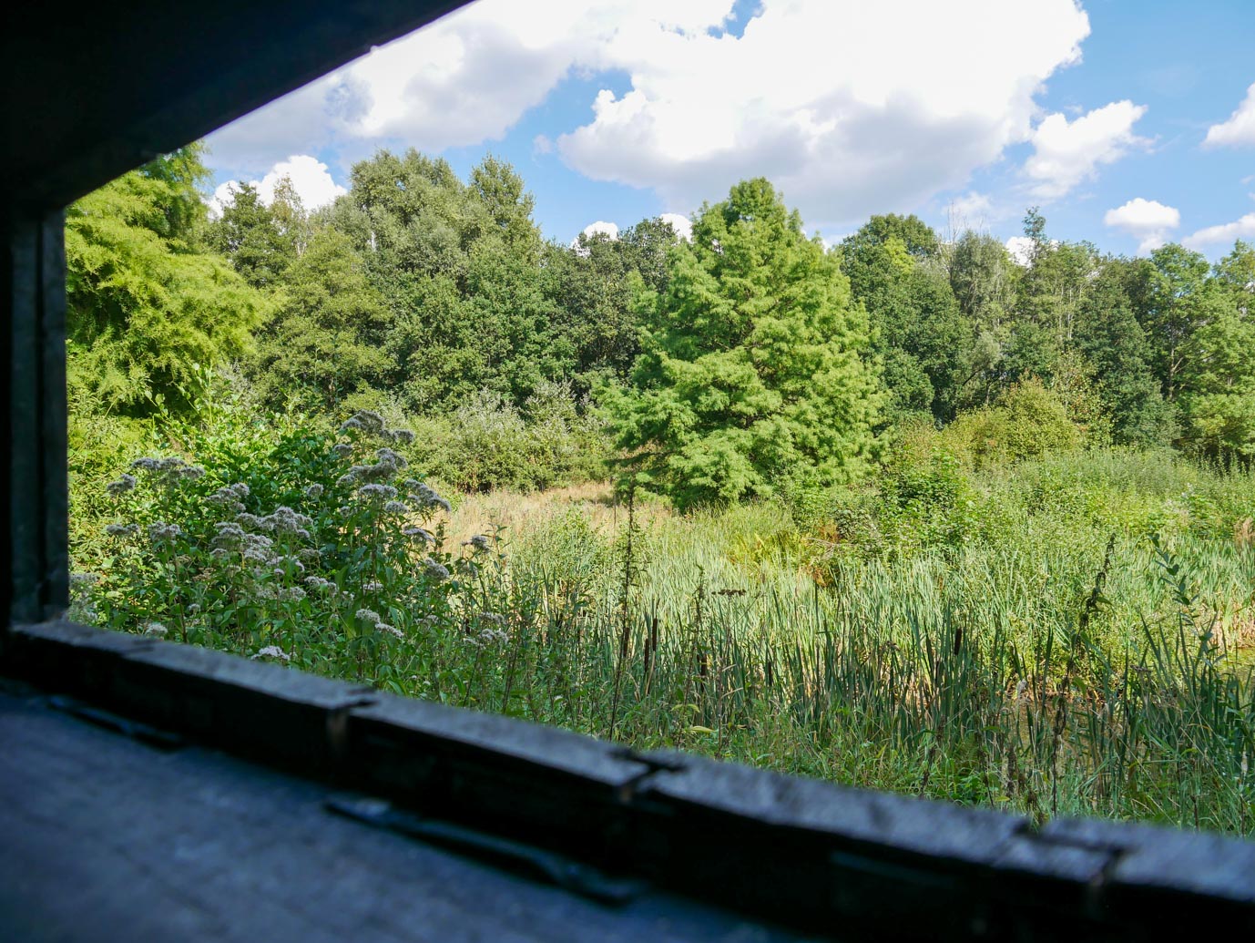 De_Lutte_Arboretum_Poort_Bulten_05-09-2022-11