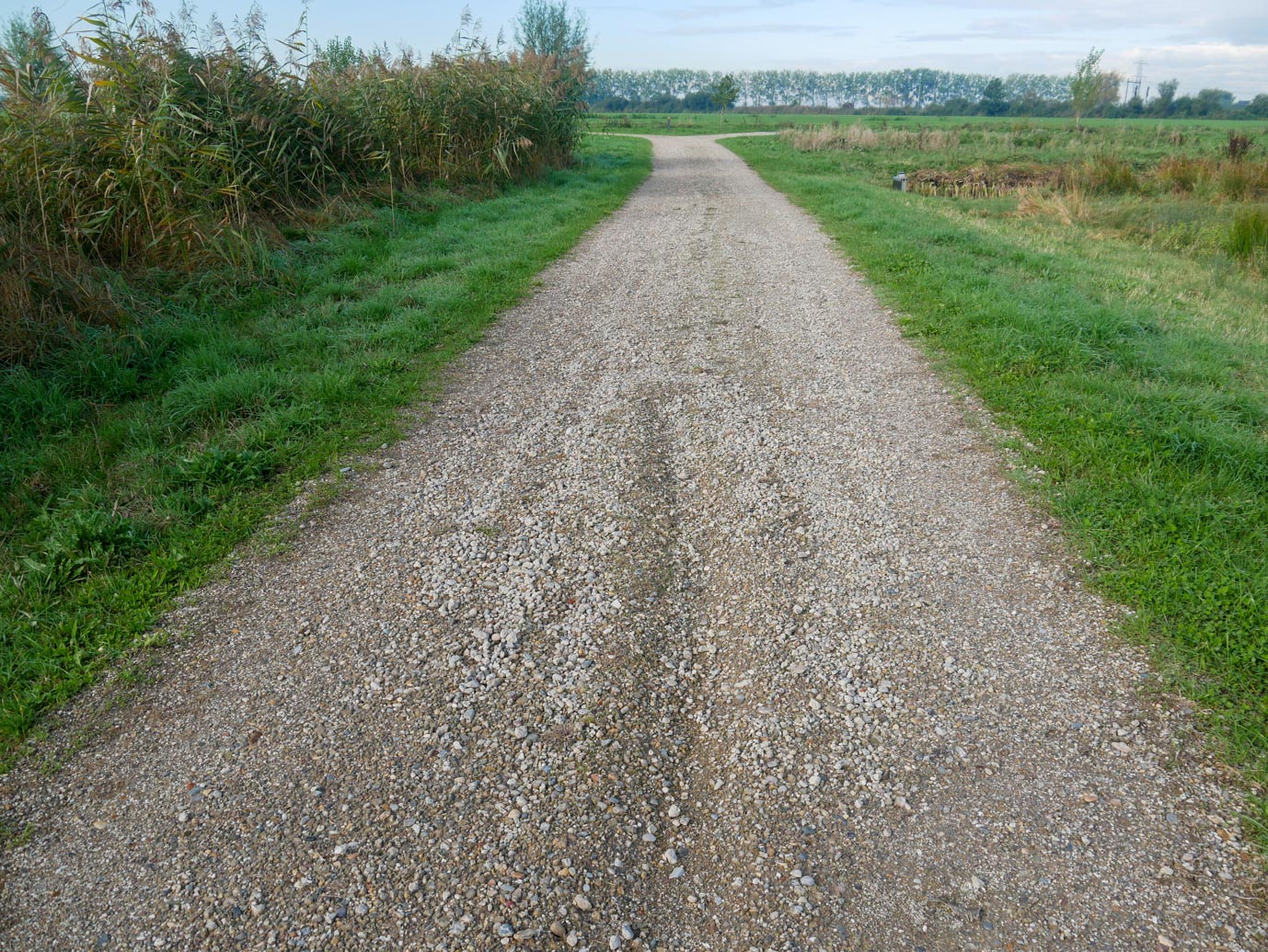 Haarzuilens_Parkbos_De_Haar_30-09-2022-07