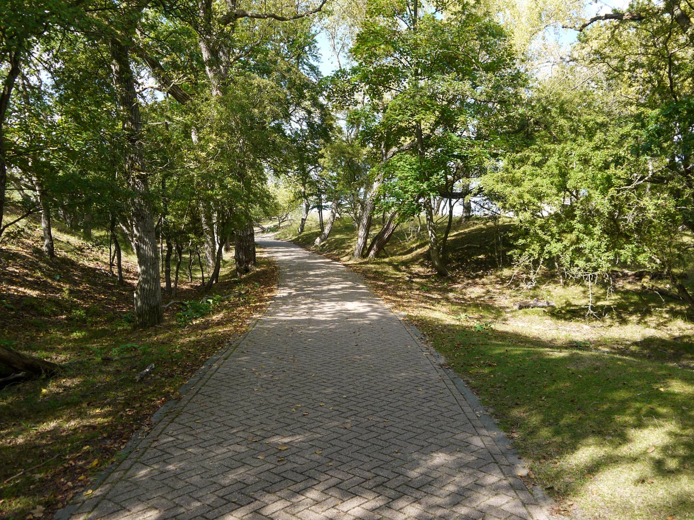Vogelenzang_Amsterdamse_Waterleidingduinen_11-09-2022-13