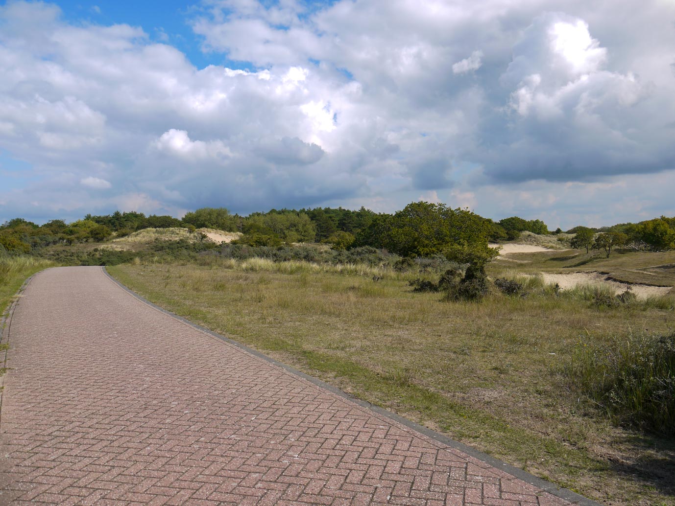 Vogelenzang_Amsterdamse_Waterleidingduinen_11-09-2022-15