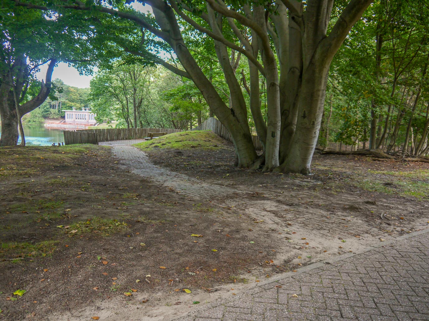 Vogelenzang_Amsterdamse_Waterleidingduinen_11-09-2022-16