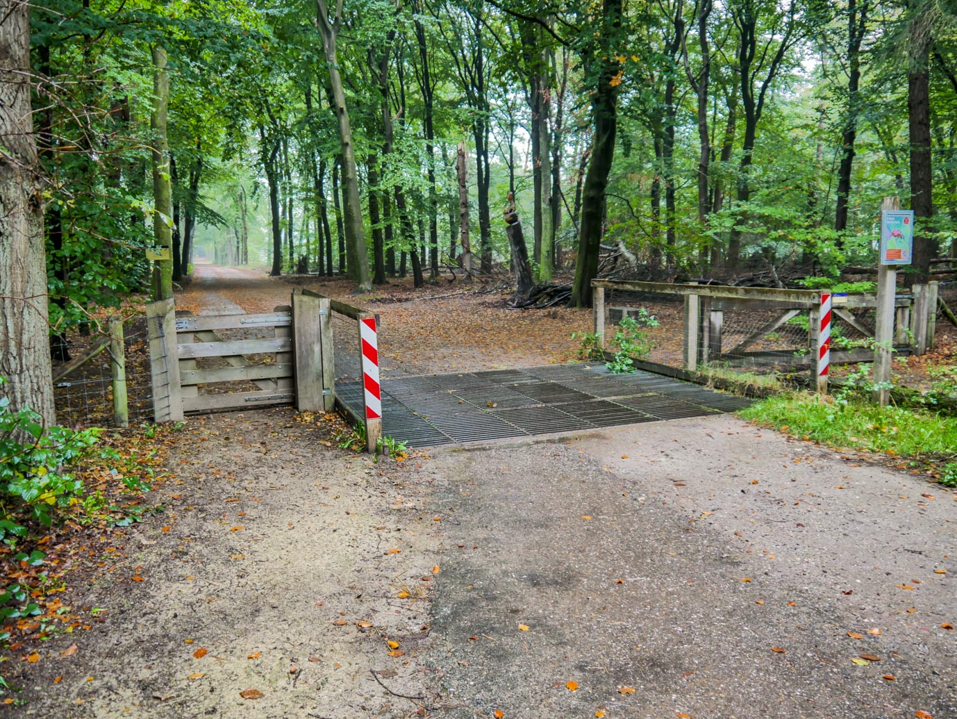 Ermelo_Familiepad_Leuvenumse_bossen_14-10-2022-02