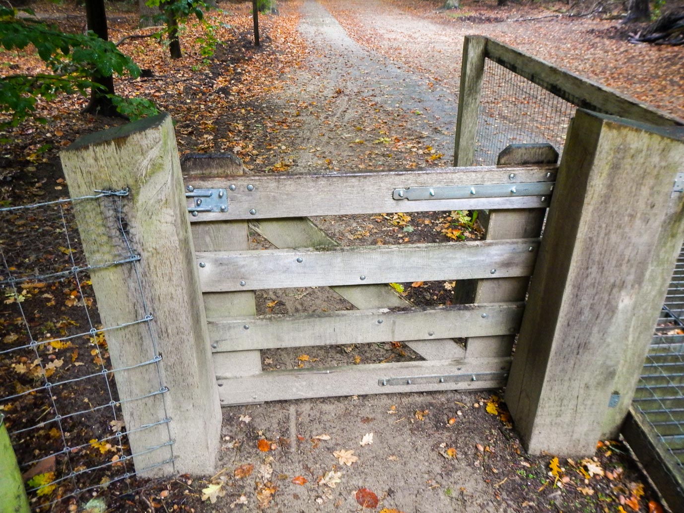 Ermelo_Familiepad_Leuvenumse_bossen_14-10-2022-03