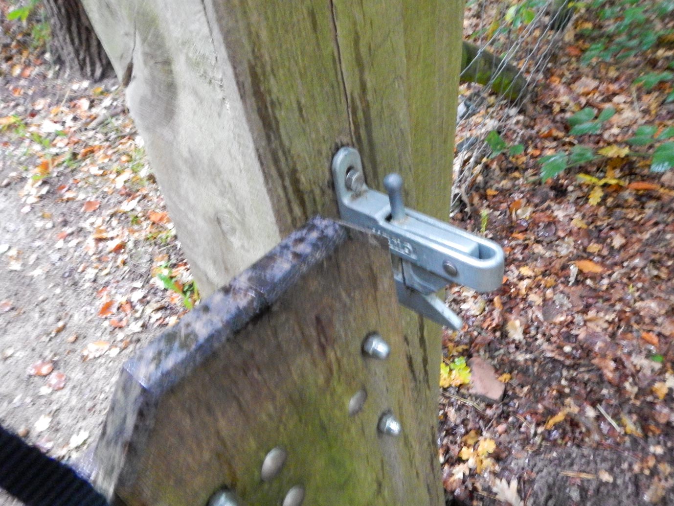 Ermelo_Familiepad_Leuvenumse_bossen_14-10-2022-04