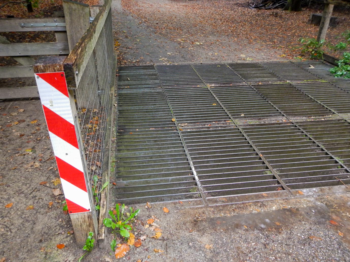 Ermelo_Familiepad_Leuvenumse_bossen_14-10-2022-05