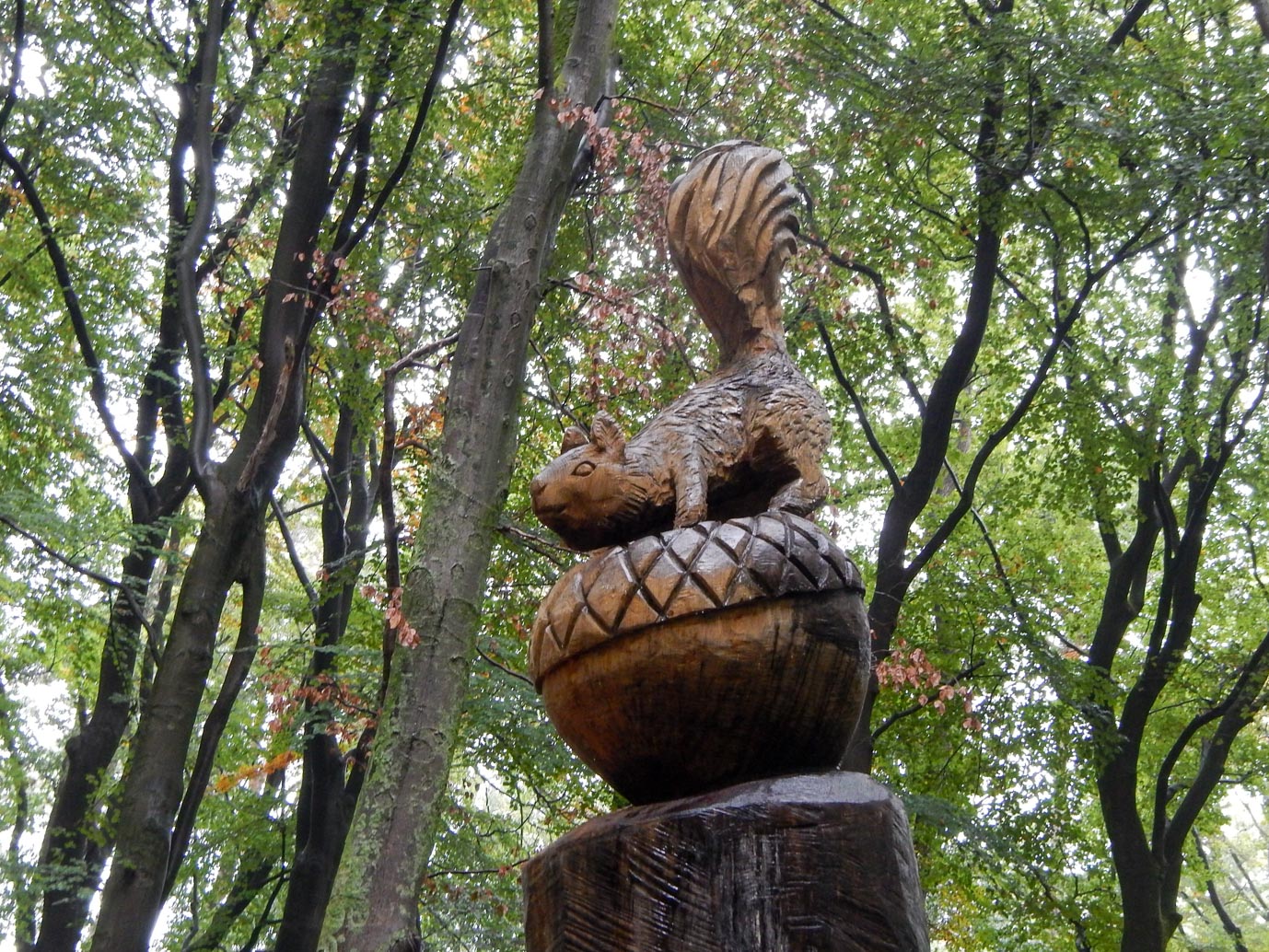 Ermelo_Familiepad_Leuvenumse_bossen_14-10-2022-06