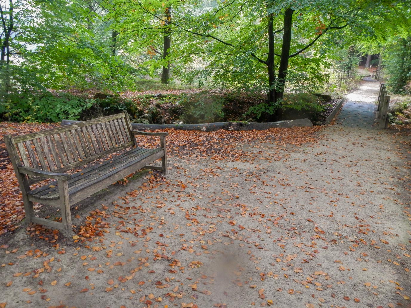 Ermelo_Familiepad_Leuvenumse_bossen_14-10-2022-07