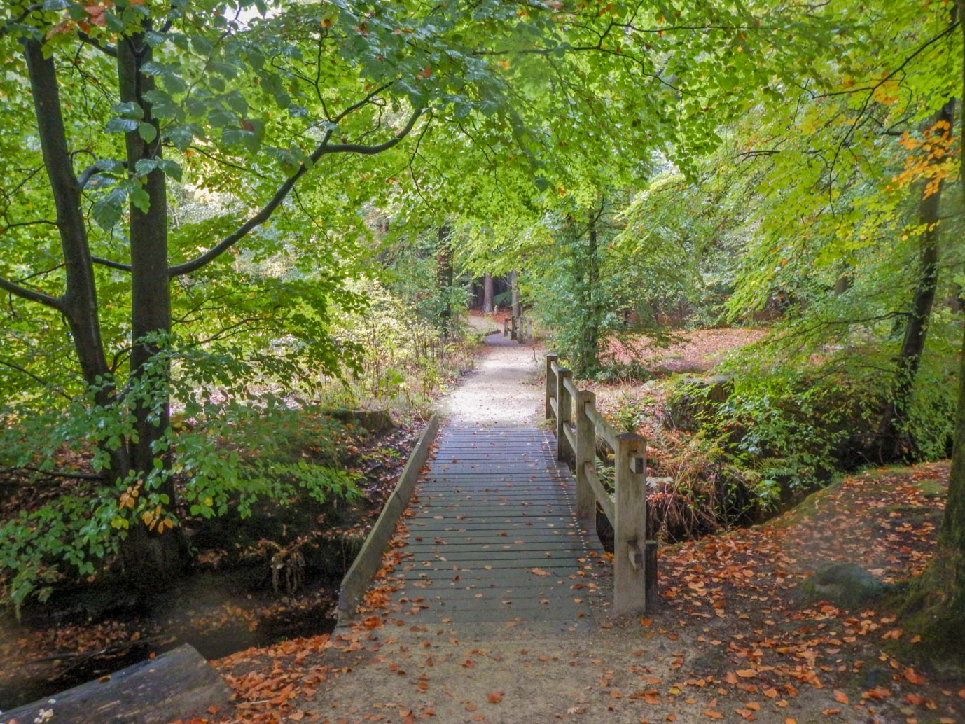 Ermelo_Familiepad_Leuvenumse_bossen_14-10-2022-08