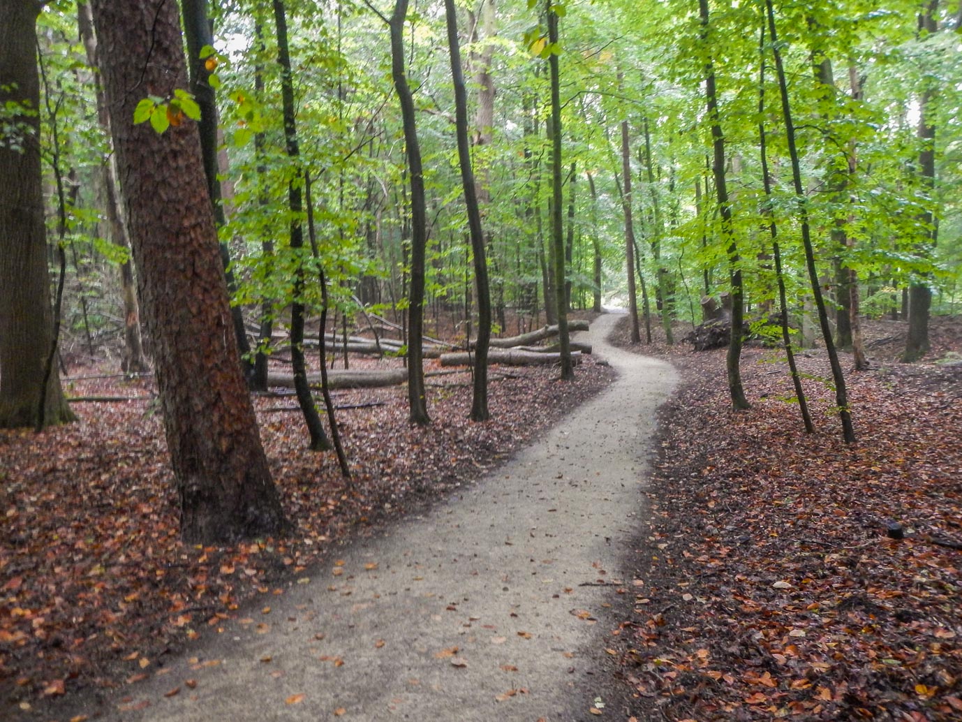 Ermelo_Familiepad_Leuvenumse_bossen_14-10-2022-16