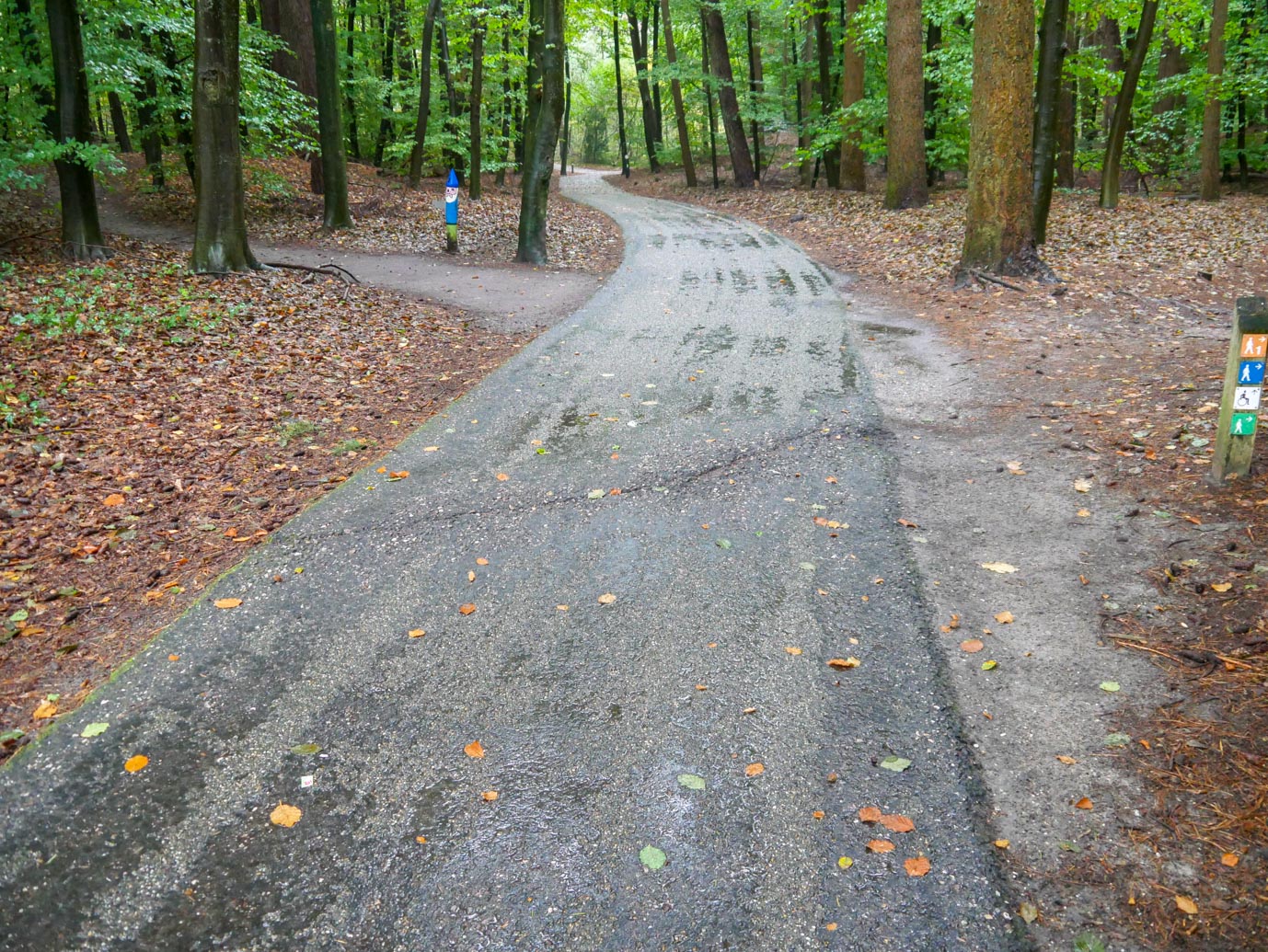 Nunspeet_Rolstoelpad_14-10-2022-05