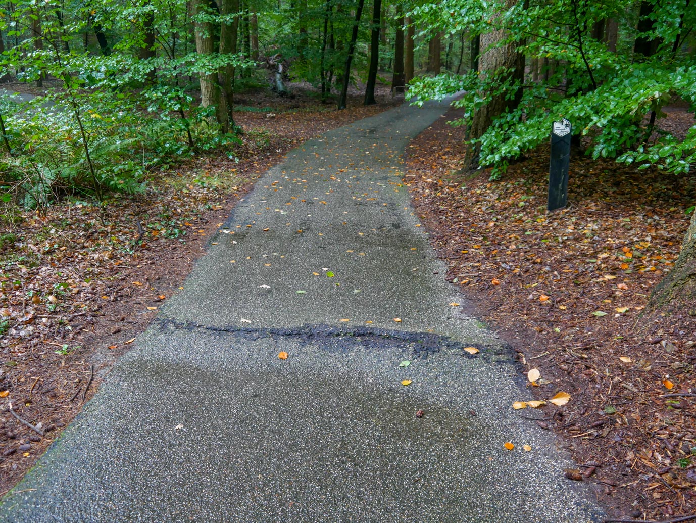 Nunspeet_Rolstoelpad_14-10-2022-06