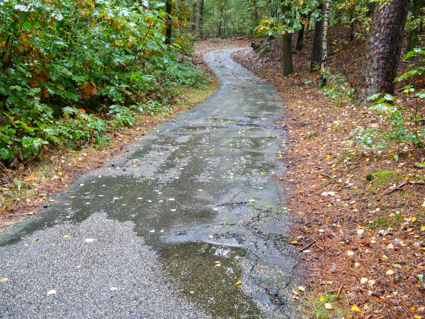 Nunspeet_Rolstoelpad_14-10-2022-07