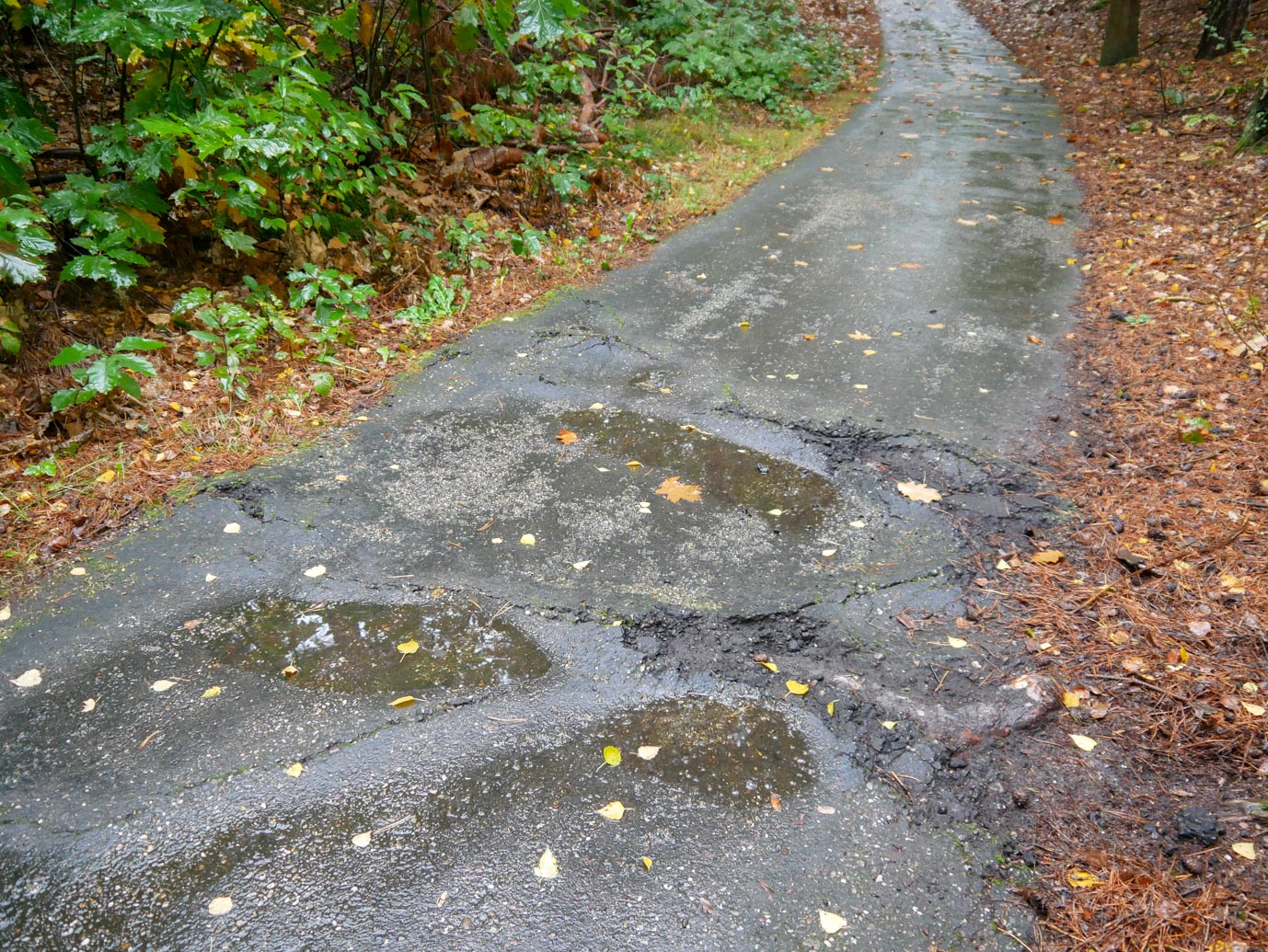 Nunspeet_Rolstoelpad_14-10-2022-08