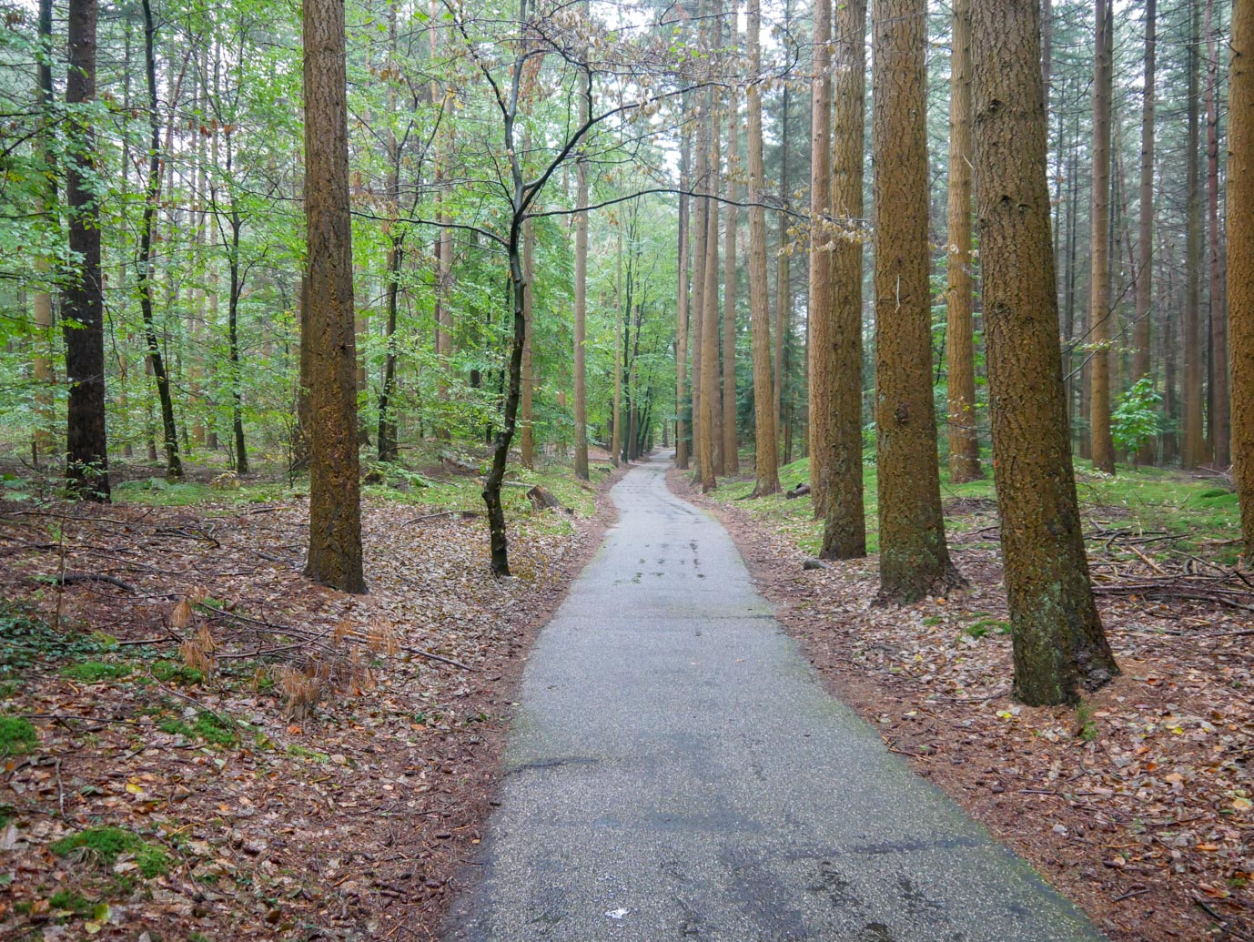 Nunspeet_Rolstoelpad_14-10-2022-09