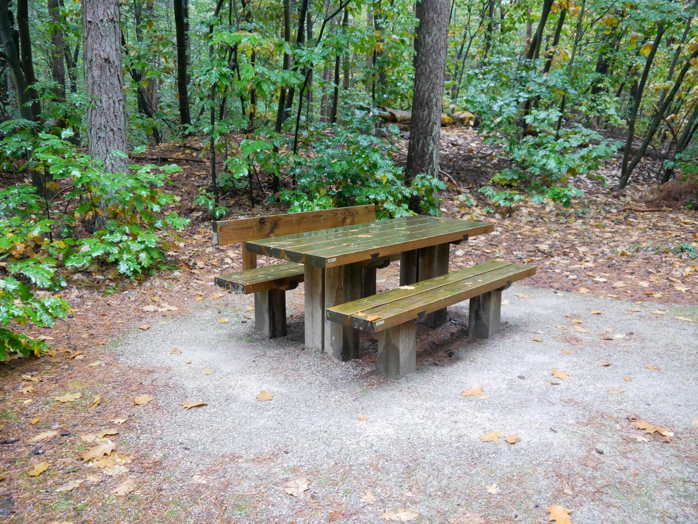 Nunspeet_Rolstoelpad_14-10-2022-10