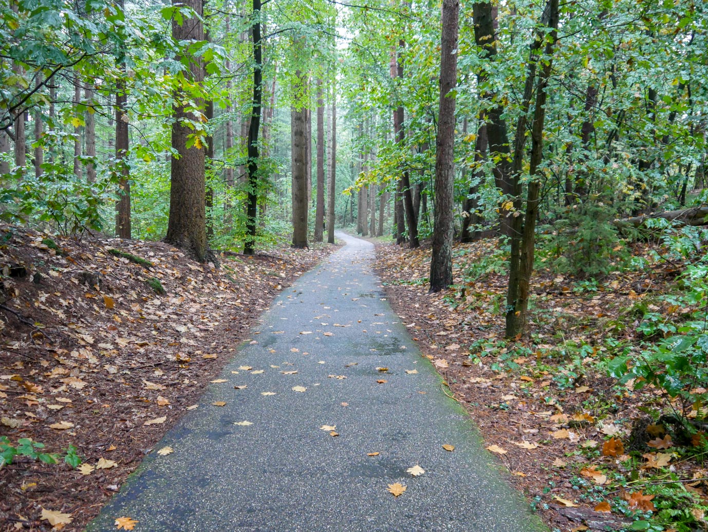 Nunspeet_Rolstoelpad_14-10-2022-11