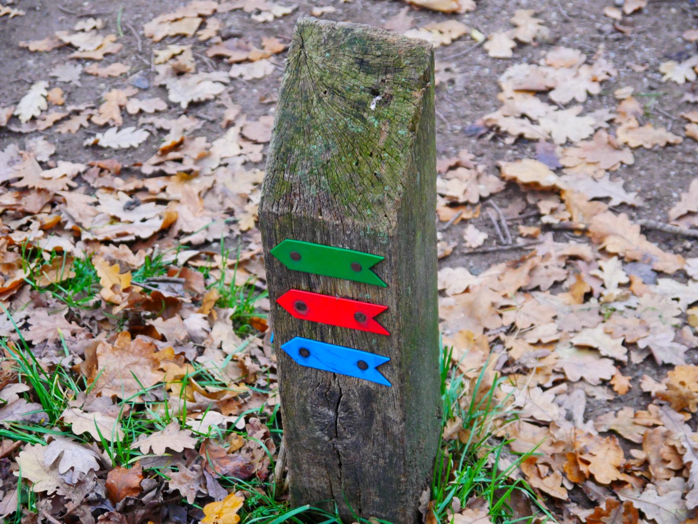 Brummen_Landgoed_Voorstonden_04-12-2022-04