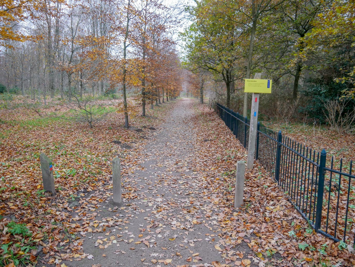 Brummen_Landgoed_Voorstonden_04-12-2022-06