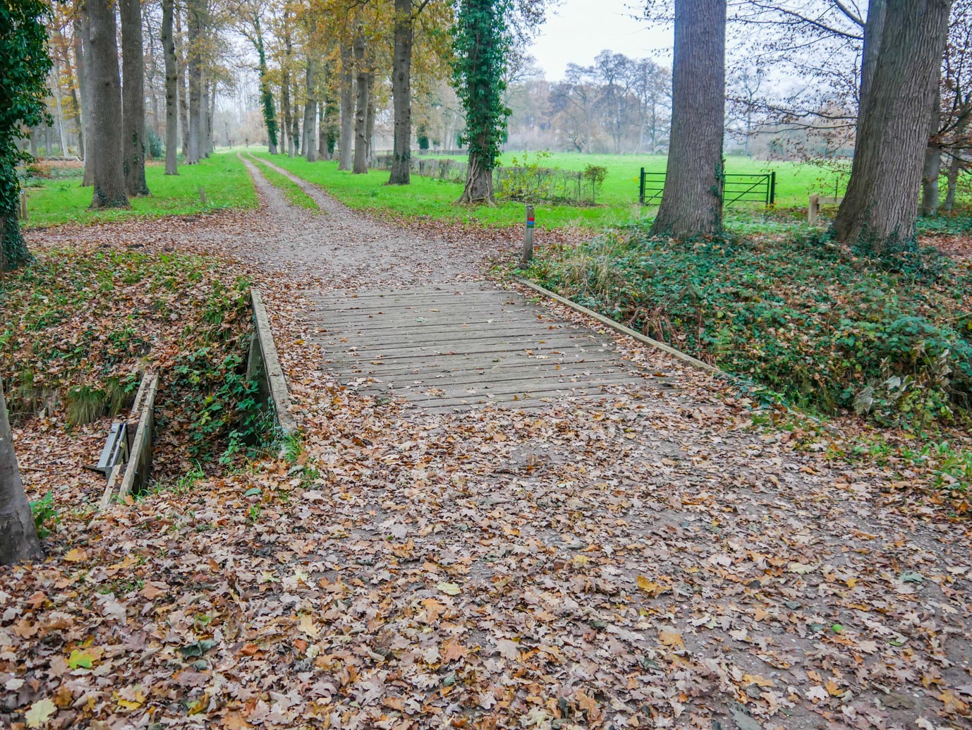 Brummen_Landgoed_Voorstonden_04-12-2022-07