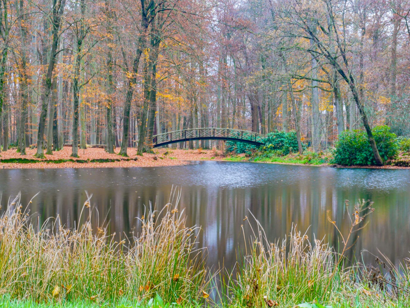 Brummen_Landgoed_Voorstonden_04-12-2022-12