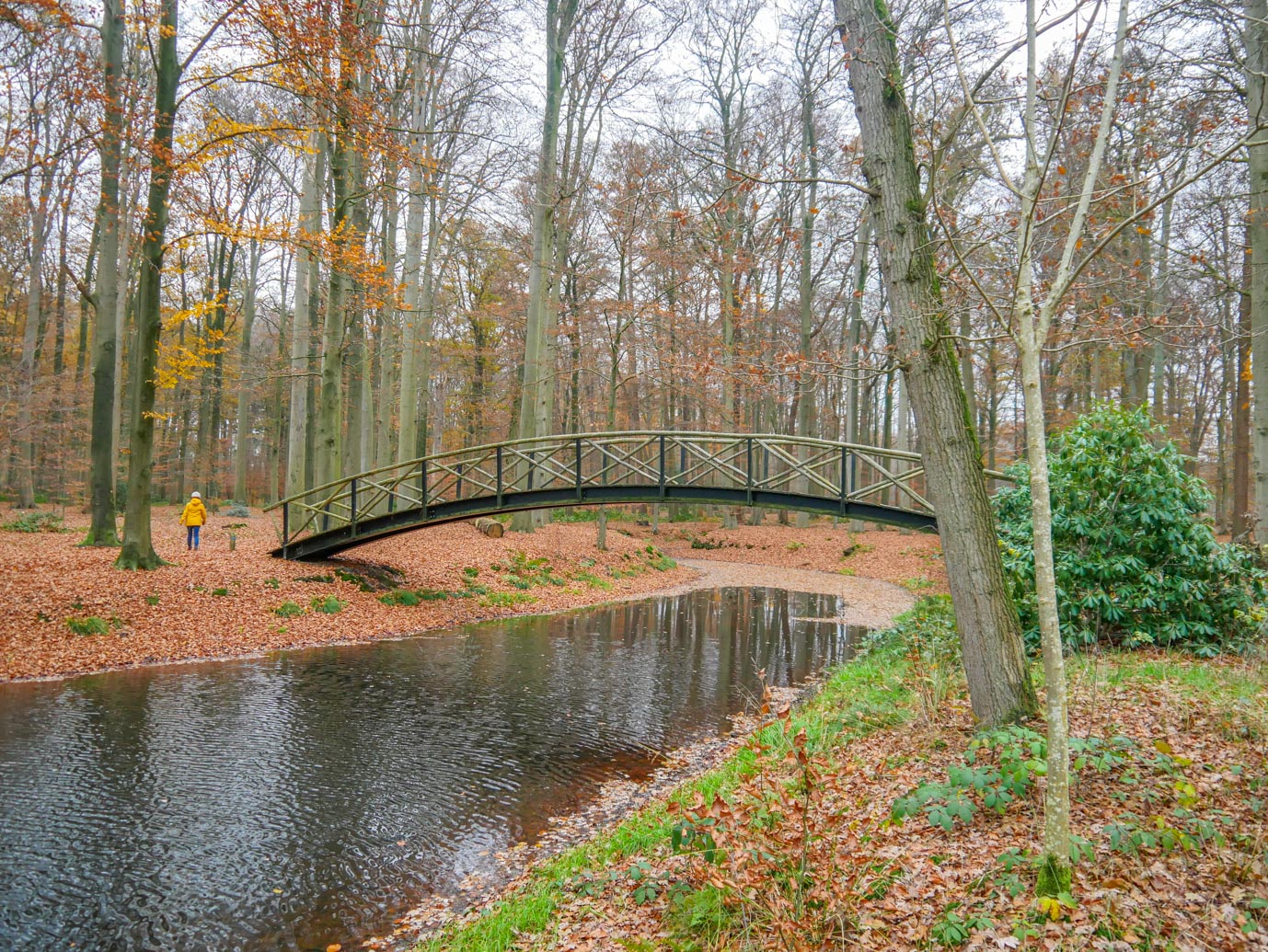 Brummen_Landgoed_Voorstonden_04-12-2022-14