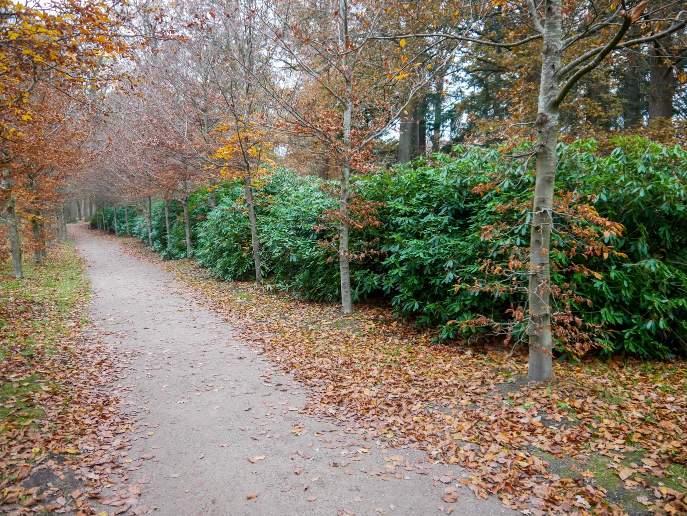 Brummen_Landgoed_Voorstonden_04-12-2022-18