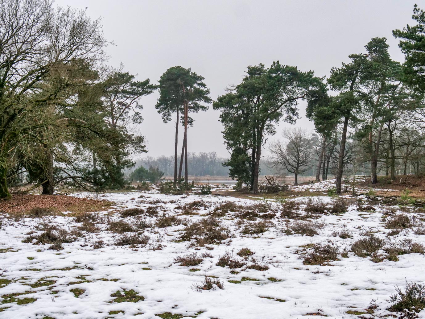 Boxtel_Van_Tienhoven_Route_25-01-2023-13