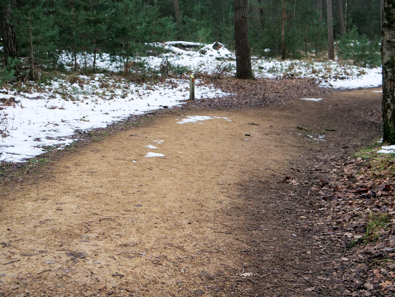 Boxtel_Van_Tienhoven_Route_25-01-2023-14
