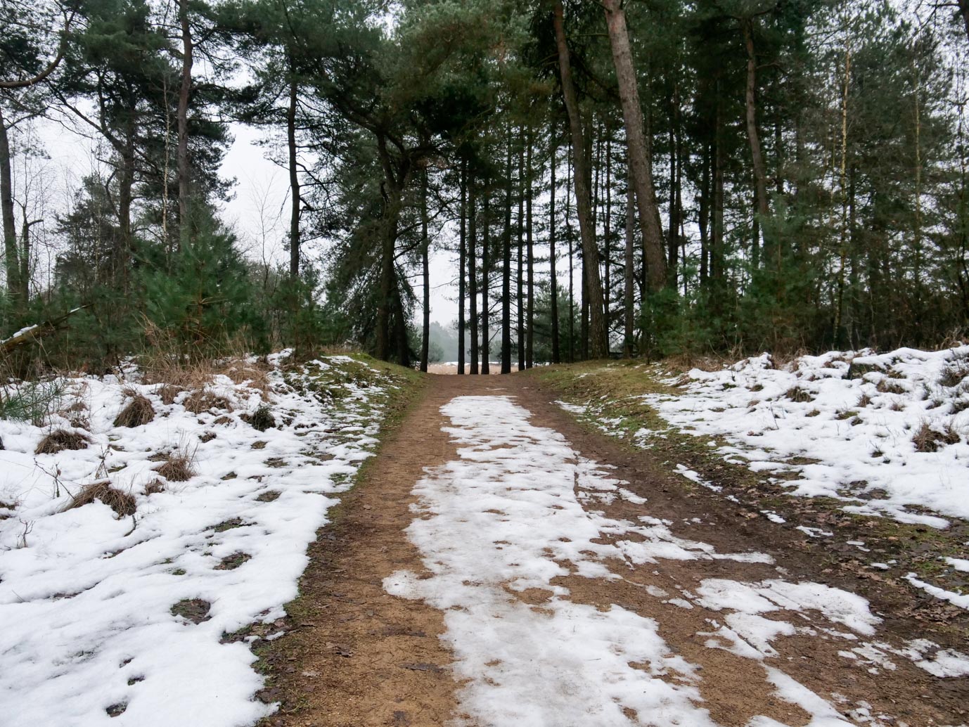 Boxtel_Van_Tienhoven_Route_25-01-2023-18