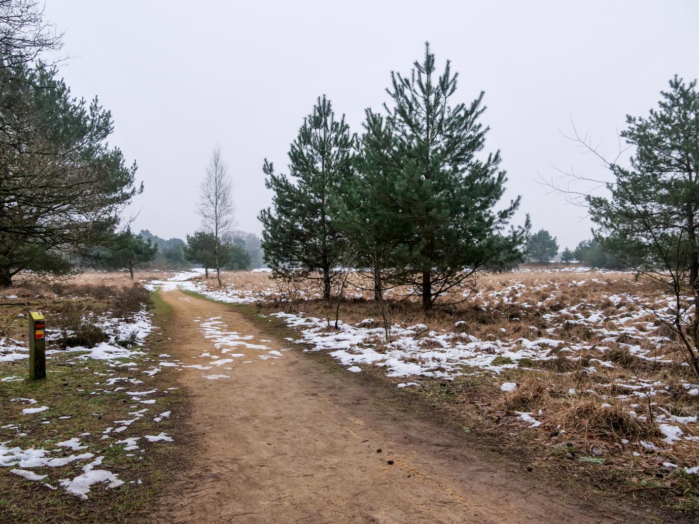 Boxtel_Van_Tienhoven_Route_25-01-2023-19