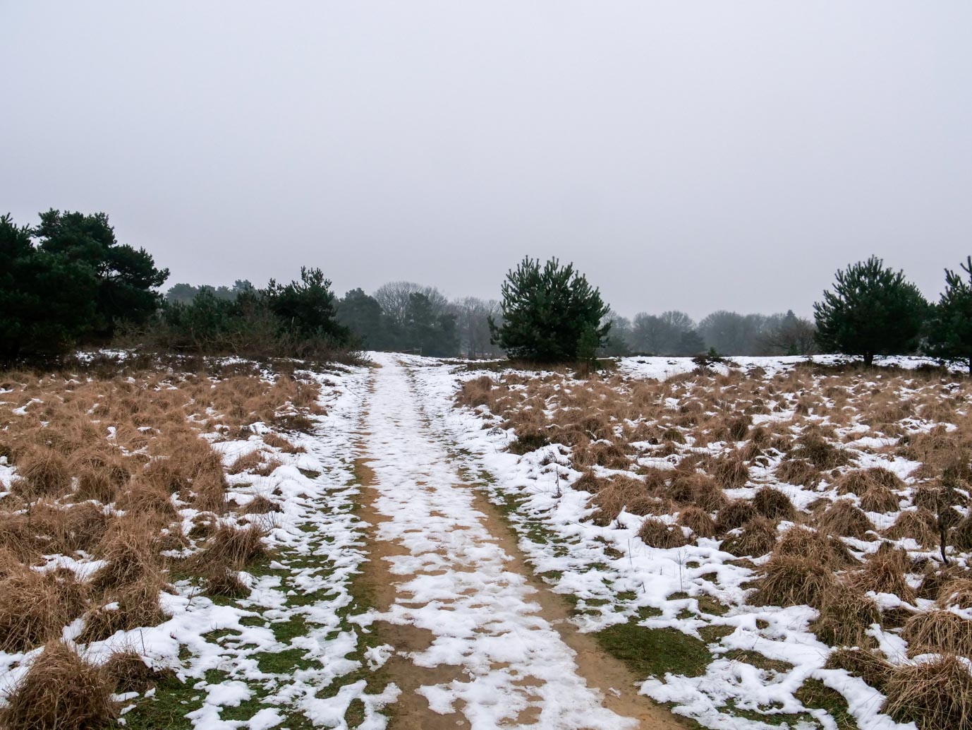 Boxtel_Van_Tienhoven_Route_25-01-2023-21