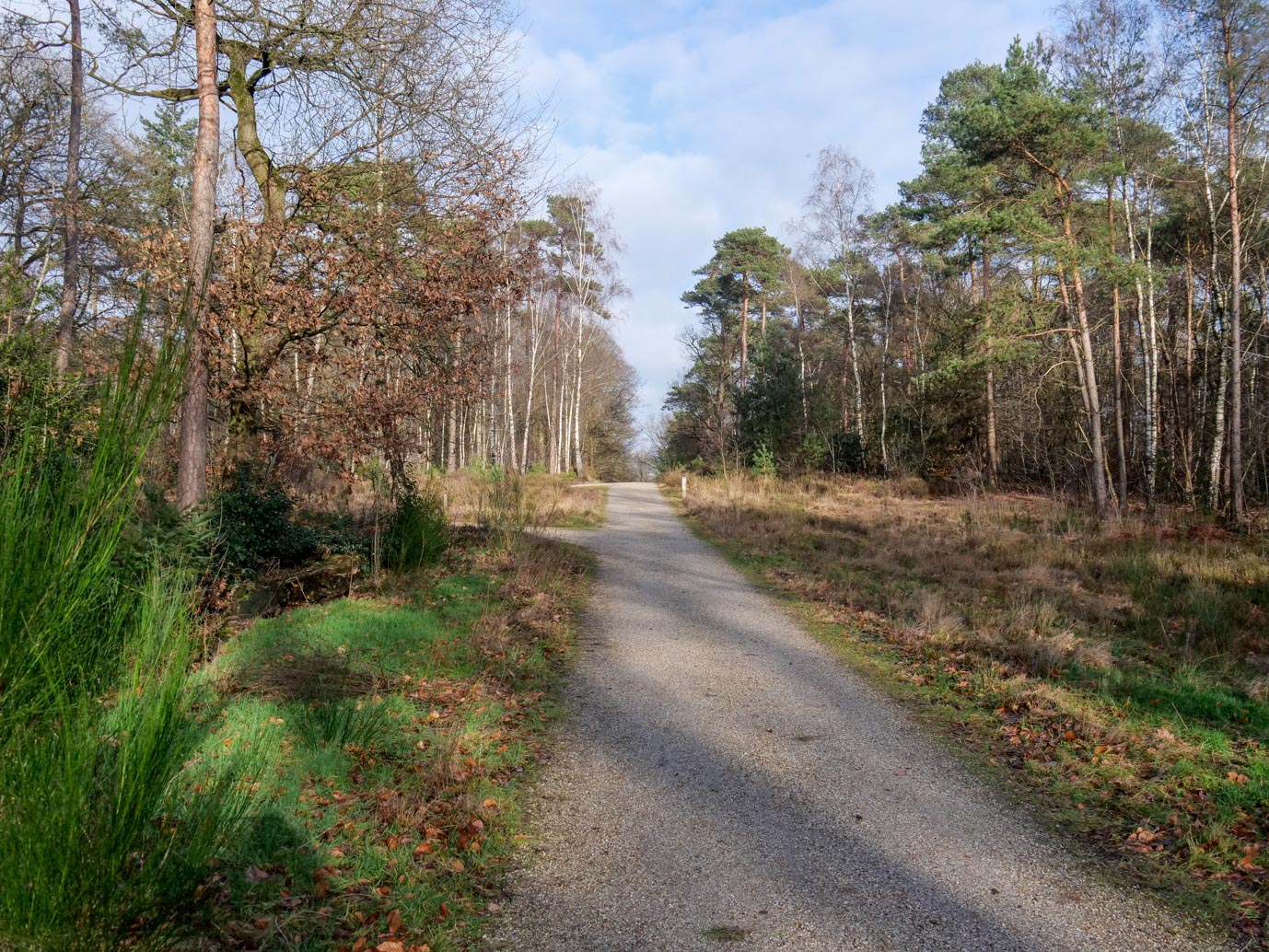 Molenhoek_Landgoedpad_Mookerheide_05-02-2023-15