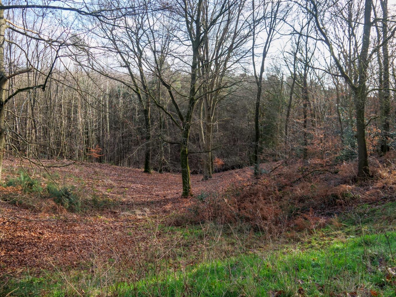 Molenhoek_Landgoedpad_Mookerheide_05-02-2023-16
