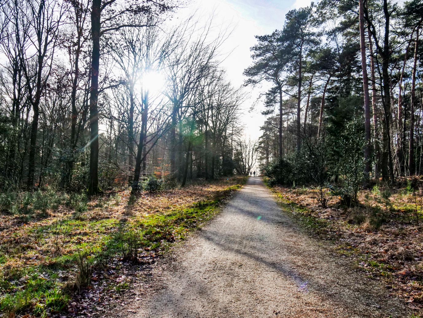 Molenhoek_Landgoedpad_Mookerheide_05-02-2023-17